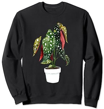 Begonia Maculata House Plant Plants Green Leaf Leaves Wings Sweatshirt