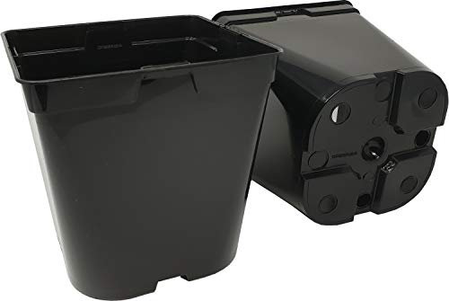 GREEN24 20 Stck. Pflanztöpfe 5 L (18,6 x 18,6 x 20,0 cm) große Vierecktöpfe Profi XXL Anzuchttöpfe Pflanztöpfe Blumentöpfe Vierkant-Töpfe