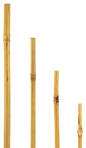 bellissa - Bambusstäbe 120cm 10er Set Rankhilfe Bambusstangen - Pflanzenstütze aus natürlichem Bambusholz für Rankpflanzen - Pflanzstäbe aus Holz widerstandsfähig & nachhaltig für Garten & Balkon