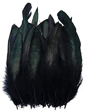 Surakey 100 Stück Basteln Federn,Schwarz Hahnenfedern,14-20CM DIY Bastelfedern für Bastelprojekte Traumfänger DIY Ohrringe Faschingskostüme Party Hüte Masken Schmuckstücke Ostereier Deko Fasanfedern