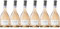 JP. Chenet - Merlot Rosé, vin rosé fruité du Pays d'Oc (6 x 0,75L)