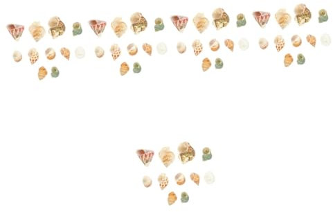 Sosoport 5 Ensembles D'Aménagement Paysager D'Aquarium Conque Crabe Coquilles De Coques De Piscine Coquilles d'eau Salée Coquilles D'Huîtres Ermite Coquille sous Vide Décor De Conque