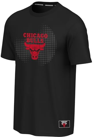 NBA Charlotte Hornets T-Shirt mit Grafik, Schwarz
