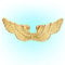W WIDMANN MILANO Party Fashion 2037P - Engelsflügel, gold, für Kinder, aus Kunststoff, Unisex, Engel, Krippenspiel, Weihnachten, Kostüm, Fasching, Karneval, Mottoparty
