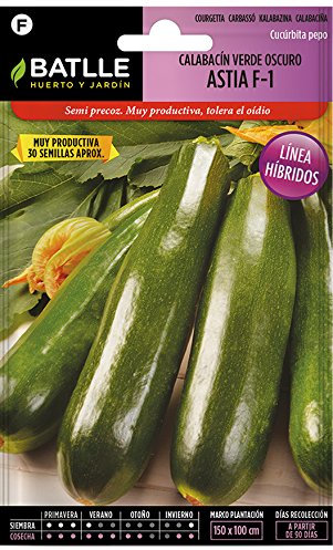 Semillas Hortícolas Híbridas - Calabacín Verde Oscuro Astia F-1 - Batlle