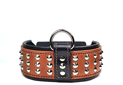Bestia Star Hundehalsband mit Nieten und Innenpolsterung 6,5 cm breit