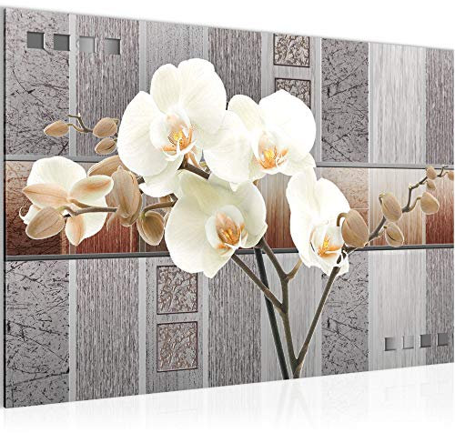 Runa Art Bild Blumen Orchidee Modern Wandbilder Wohnzimmer 1 Teilig - Made In Germany - Abstrakt Grau Beige Flur 204615a