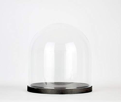 EMH Handmade Mouth Blown Clear Circular Glass Display Cloche Dome With Black Wooden Base 25 x 25 cm