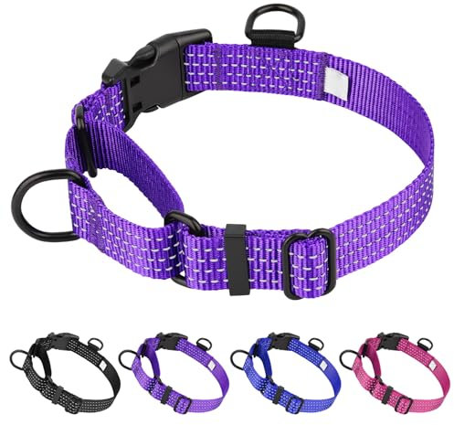 Dlitk Martingale Hundehalsbänder, verstellbares reflektierendes Nylon-Hundehalsband für Hundetraining, kein Ziehen, Halsband für mittelgroße und große Hunde (M, Lila)