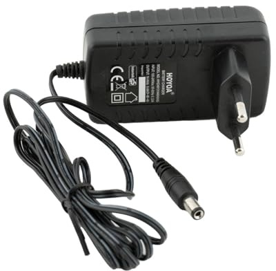 Q-Batteries Ladegerät für Aquamatik Trolley 26l