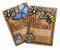 Bee and Butterfly Friendly Wild Flower Seeds Duo Pack - Great Gardener Gift. Beautiful, Colourful Native British Wild Flowers. UK Grown. RHS Plants for Pollinators Mix.