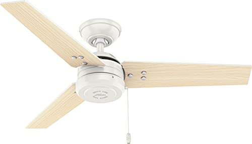 Hunter Cassius, Outdoor or Indoor, Ceiling Fan, 44 inch, Fresh White