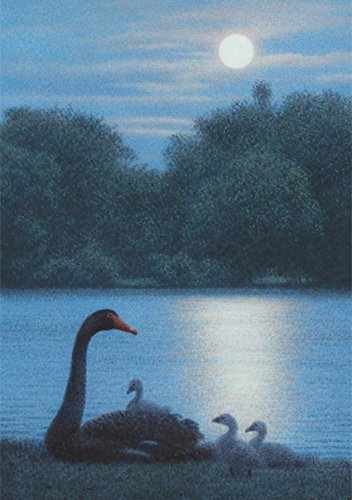 Inkognito Postkarte A6 • 22856 ''Mathilda im Mondlicht Künstler: Quint Buchholz • Fantastik