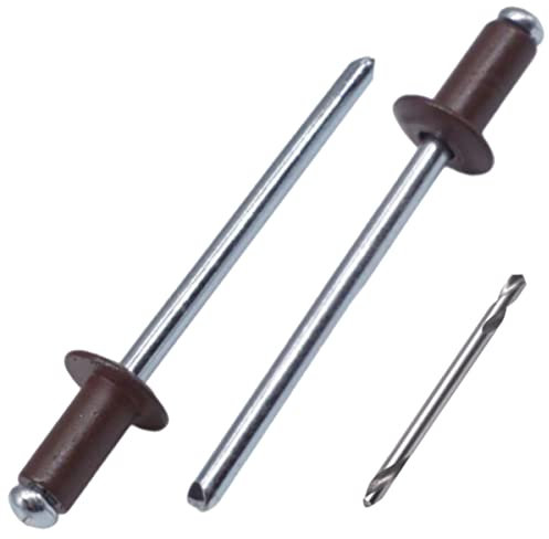 SKIR'CO (100 Stück) Blindnieten lackiert 4,0 x 8 mm, Aluminium Popnieten, Bohrer enthalten (Schokobraun RAL 8017)