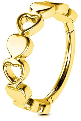 OUFER Body Piercing 16G Helix Cartilage Hoop Earring 16G Gold Helix Piercing 6/8/10/12mm 316L Stainless Steel Tragus Daith Rook Conch Piercing Ring Jewellery