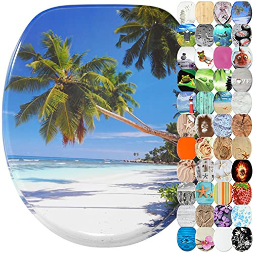 Sanilo Toilet Seat, Wide Choice of Beautiful Toilet Seats, Stable Hinges, Easy to Mount (Caribbean)
