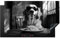 KitchenYeah© Herdabdeckplatte 90x52 cm Einteilig Induktionsmatte Küche Abdeckung Ceranfeld Herd Abdeckplatte Deko Vinyl Matte Aufrollbar Golden Retriever - Hund - Spaghetti - Schwarz - Weiß