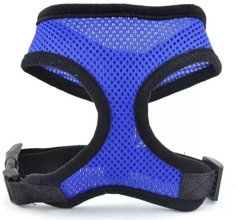 Surtep Shirts für Hund - Blau