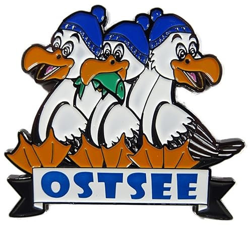 Generisch Magnet Souvenir Ostsee Möwe 7 x 7 cm Kühlschrankmagnet Deko GCG 2311
