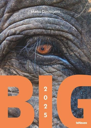 Big - Marko Dimitrijevic - Kalender 2025 - teNeues-Verlag - Wandkalender - Fotokalender mit den Giganten der Tierwelt - 50 cm x 70 cm