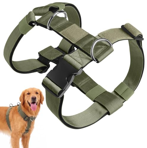 Olcyren Hundegeschirr Anti Zug, Brustgeschirr Verstellbar mit Front Clip, Anti Zieh Geschirr für Hunde, Weich Gepolsterte No Pull Geschirr Hund, Dog Harness, für Mittelgroße Grosse Hunde (Grün, M)