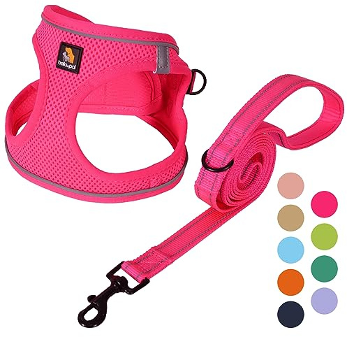 BELLA & PAL Hundegeschirr Kleine Hunde mit Leine, Step-in Geschirr aus Air Mesh, Anti Zug Reflektierend Atmungsaktiv Brustgeschirr, Welpengeschirr für Kleine Hunde, Katzengeschirr, Heißes Rosa, L