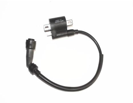 Zündspule Für Keeway Tx Für Rkv Für Rks Für Rki Für Arsen Ii 125 150 200 Für Stels Für Flame 200 Zündspule Zündungen