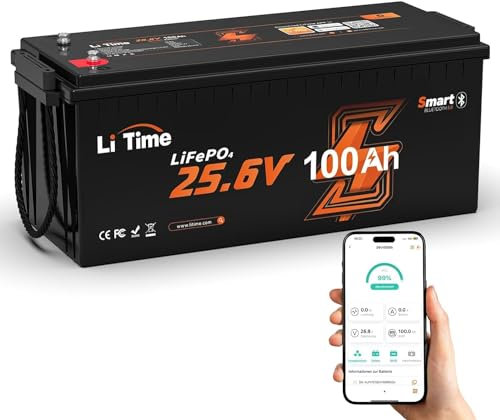 LiTime LiFePO4 24V 100Ah Batterie, Bluetooth-Funktion und Litime APP-Steuerung, 4000+ Zyklen und 10 Jahre Batterielebensdauer, Perfekter Ersatz für Blei-Säure, AGM, SLA Batterie