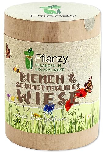 Pflanzy Bienen- & Schmetterlingswiese | Anzuchtset im Holzzylinder