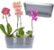 GarPet 2X Orchideentopf Transparent Orchideen Übertopf Pflanztöpfe Übertöpfe für Orchideen aus Kunststoff Innen Elegant Durchsichtig Orchideentopf groß rauchfarbig