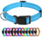 TagME Nylon Hundehalsband, Verstellbares Reflektierendes Hundehalsband mit Sicherheitsschnalle für Kleiner Hund, Himmelblau, 1.5cm Breite