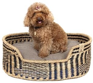 MISSLOTO Hundebett, Katzenbett, mittelgroße Hunde, Bett für mittelgroße Hunde, Katzenbett, orthopädisches Hundebett, orthopädisches Hundebett