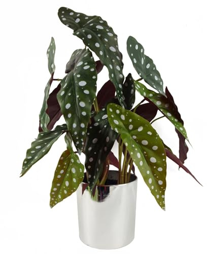 Botanik Artificial Office Plants, 40cm