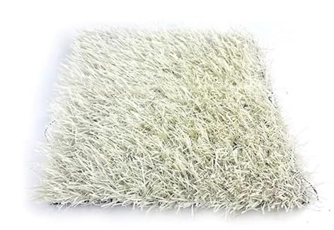 Générique Tapis de Gazon Artificiel Blanc, Hauteur de Poils de 2,5 cm, idéal pour l'intérieur et l'extérieur (Jardin, terrasse, Balcon), Facile à Installer.(2x4m)
