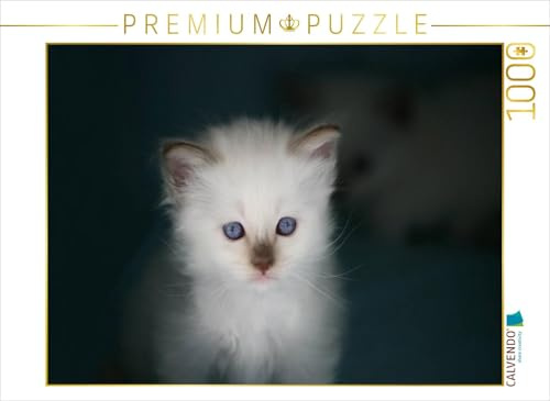 CALVENDO Puzzle Liprima's Amazing Alizée | 1000 Teile Lege-Größe 64 x 48 cm Foto-Puzzle für glückliche Stunden