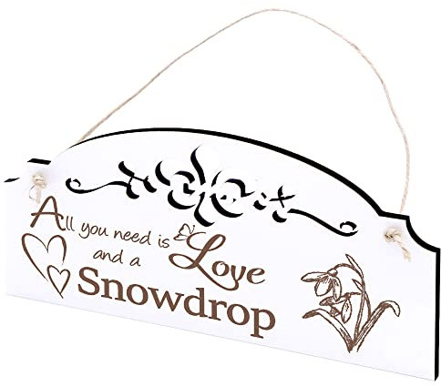 Schild Schneeglöckchen Deko 20x10cm - All you need is Love and a Snowdrop - Holz Wanddeko Dekoration Wand