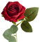 loyliawa Artificial Flowers,Fake Flowers,Artificial plants indoor, Artificial Rose Branch with Stem Home Wedding Party Faux Flower Floral Arrangement Garden Decoration Photo Props Red