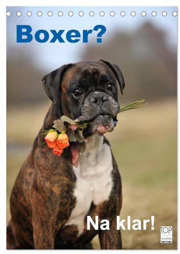 Boxer? Na klar! (Tischkalender 2026 DIN A5 hoch), CALVENDO Monatskalender: Boxer, der Clown unter den Hunden. (CALVENDO Tiere)