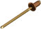 Gesipa – Rivetto cieco – Mini Pack 50 pezzi/confezione, 4 x 6 mm, rame/bronzo