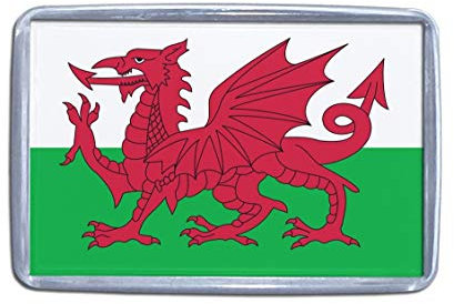 Wales Flag - Small Plastic Fridge Magnet