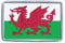 Wales Flag - Small Plastic Fridge Magnet