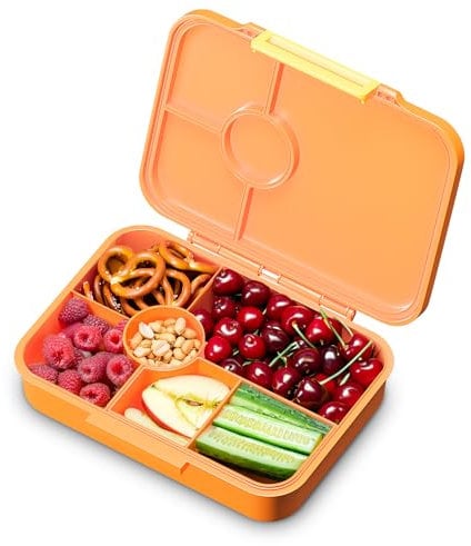 schmatzfatz Lunchbox, Unterteilte Brotdose Kinder, Lunchbox mit Fächern, Bunte Bento-Box für Schule & Kita, BPA-Freie Schuldose für Mädchen & Jungen, Jausenbox Spülmaschinenfest & Auslaufsicher