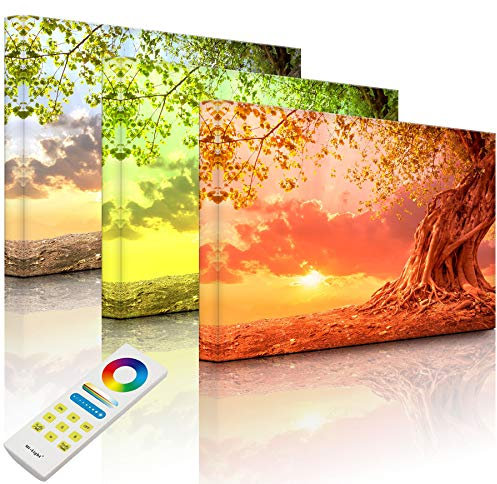 Lightbox-Multicolor | Leuchtendes LED Bild | Verwurzelter starker Baum im Sonnenuntergang | 100x70 cm | Fully Lighted