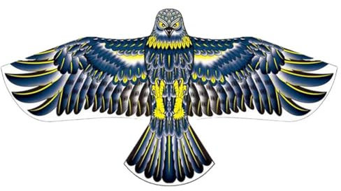 Cerfs-Volants Aigle Plat avec Ligne de 20 mètres, Jouets d'extérieur, cerf-Volant Oiseau, Sport, Jeux Chinois de cerf-Volant Style Plein L0M5 Jouets Volant en