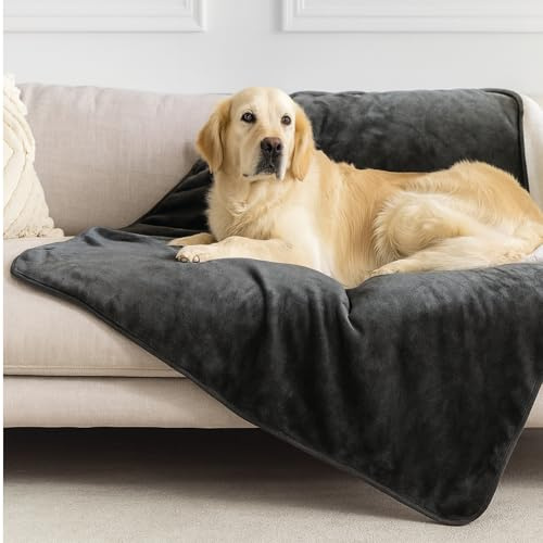 Dreamzie - wasserdichte Hundedecke Flauschig - 100x120cm - Dunkelgrau | Sherpa-Fleece · Waschbar · Decke für unterwegs, Bett, Sofa, Auto, Outdoor · Katzendecke · Weich · Wendedecke 2-in-1