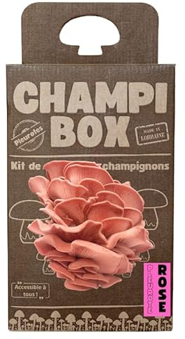 Kit de Culture de Champignons Pleurotes Roses Champibox™ (Pleurotus djamor) - Pleurotes Made in France - Gourmand et Éducatif - Idée Cadeau Originale et Naturelle pour Tous - Facile à Utiliser