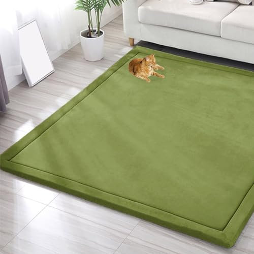 EN AyuL Großer Teppich, Korallensamt, Baby-Spielmatte, dicker Kinderzimmerteppich für Kinder, Krabbelmatte, Tatami-Yogamatte, rutschfeste Bodenmatte, Übungsunterlagen (80 x 100 cm, grün)