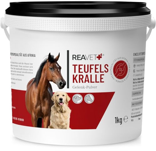 ReaVET Teufelskralle Pulver für Hunde & Pferde 1kg - Natürliches Gelenkpulver zur Unterstützung der Gelenke & Beweglichkeit I Ohne künstliche Zusätze aus Reiner Teufelskrallenwurzel