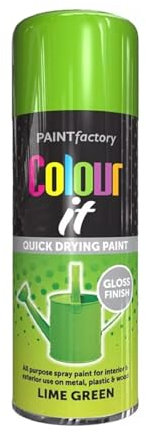 PNJB Lime Green All Purpose Aerosol Spray Paint, Quick Drying Spray, Versatile, Fast Dry And Excellent Coverage For Metal, Wood, Plastic, 400ML (1PCS)