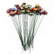 Jonikuper 50 estacas de mariposa, estacas de metal coloridas para decorar tus jardines, macizos de flores, plantas en macetas